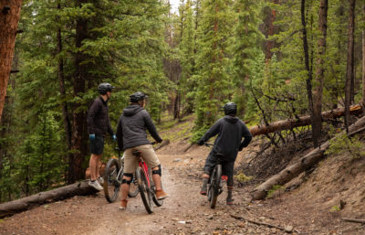 Three men on mountain bikes looking down a dirt trail in the forest