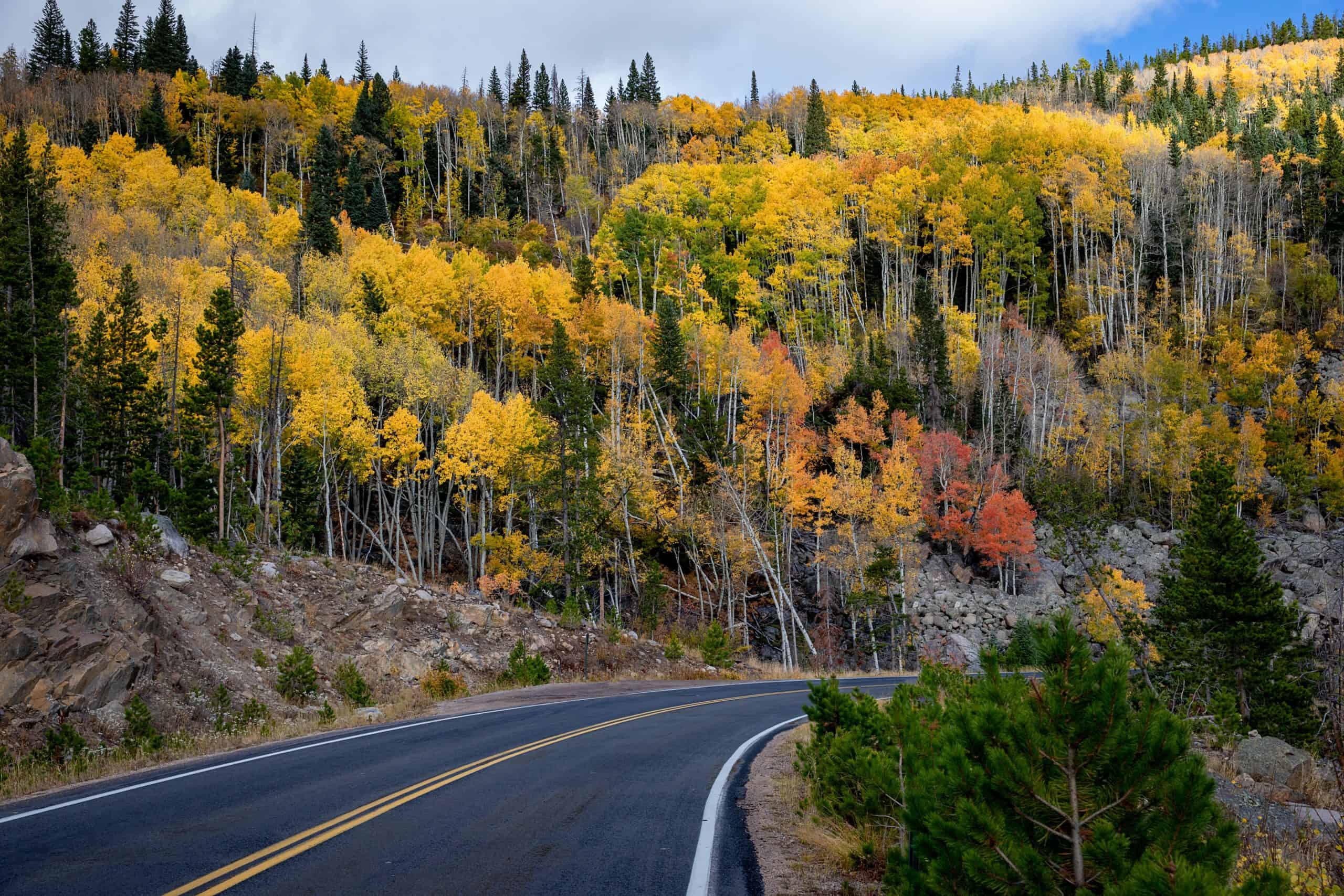 Colorado road in the fall with autumn trees