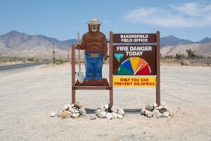 Smoky the bear wildfire sign
